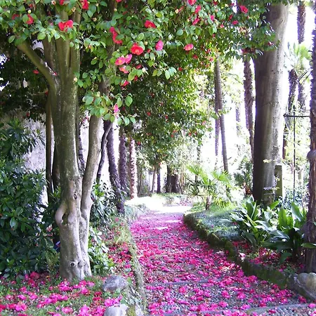 La Mirabella Cadenabbia